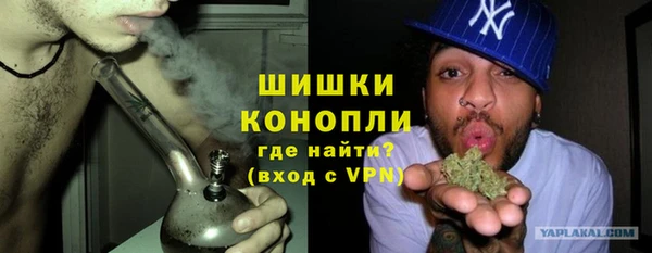 ешки Алексин