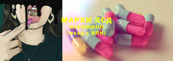 ешки Алексин