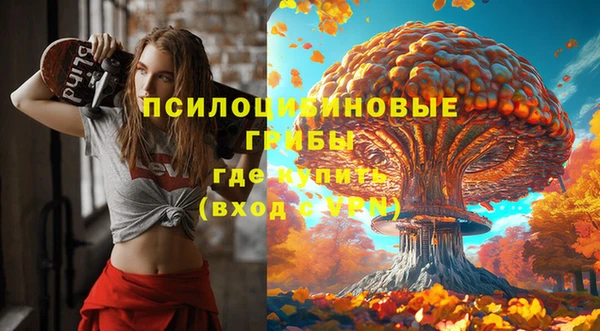 скорость Алзамай